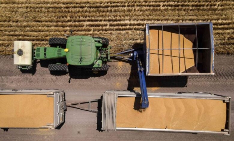 موجات حر غير مسبوقة تقوّض إنتاج الغذاء في العالم