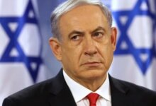 Image 1775661572863 1775667734 Jpg