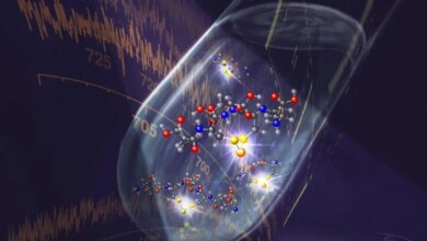 تفاعلات الأكسدة والاختزال في سلاسل الكالكوجينات