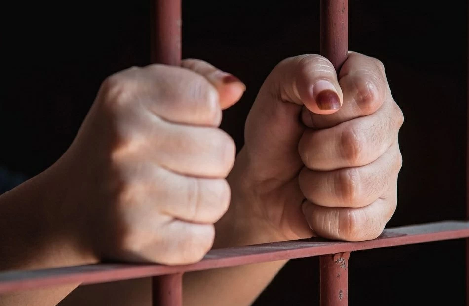 زلزال في المحكمة الاقتصادية   أشرف زكي يطالب بسجن ياسمينا المصري