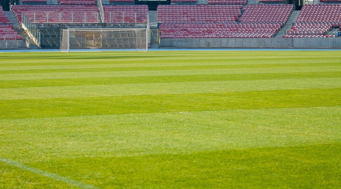 تقنية  البيتزا  الزراعية  كيف ستجعل ميشيغان ملاعب المونديال في 3