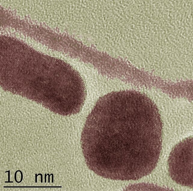 اكتشف العلماء السبب الذري الذي يجعل الذهب يرفض الصدأ ScienceAlert