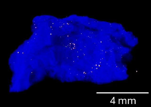 أول انفجار نووي في العالم شكل بلورة   8220 مستحيلة  8221   ScienceAlert