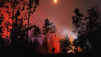 A fire fighter tackles a wildfire