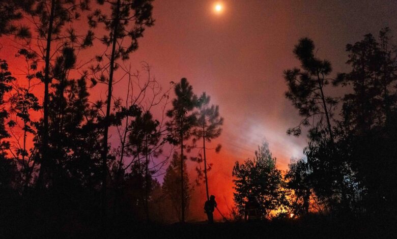A fire fighter tackles a wildfire