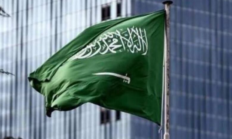 السعودية تتحرك لتجاوز أزمة "هرمز" بعملاق لوجستي وخطوط شحن جديدة
