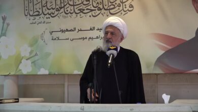 العلامة الخطيب اطلع من وزير الصحة على نشاط الوزارة في ظل العدوان الاسرائيلي