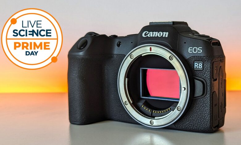 الفرصة الأخيرة! لا تزال كاميرا Canon EOS R8 هي الأرخص في Walmart — في الوقت المناسب تمامًا لأشجار البرشاويات والحياة البرية في أواخر الصيف