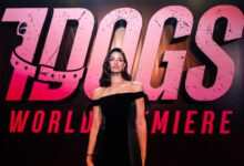 بعد 7Dogs... تارا عماد تنتظر 3 أفلام ومسلسلاً من بطولتها