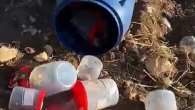 تركيا.. العثور على 21 جنينا بشريا في حاوية نفايات بمقبرة (فيديو)