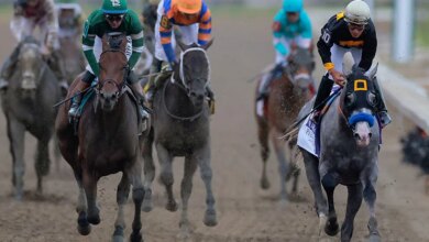 تعرف على خيول Preakness Stakes التي شاركت في سباق 2026