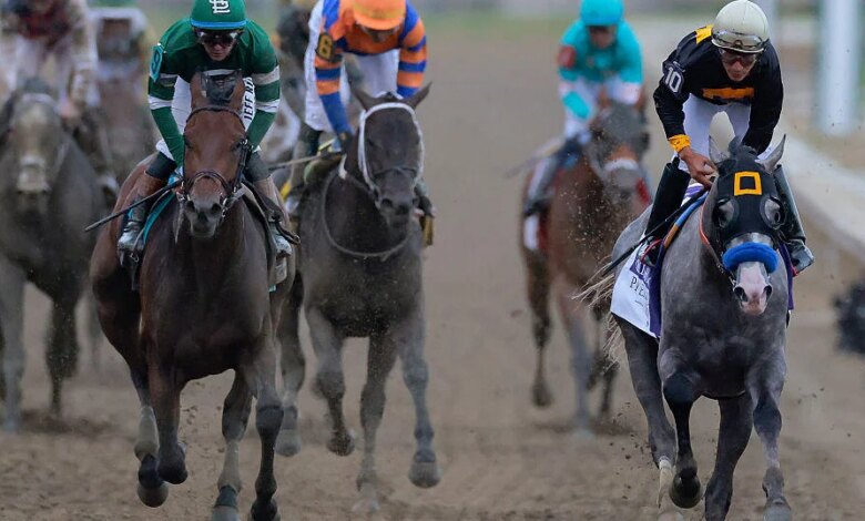 تعرف على خيول Preakness Stakes التي شاركت في سباق 2026