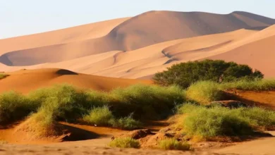 عاجل | أجمل الحدائق الوطنية في العالم.. من توريس ديل باين إلى سيرينجيتي ويوسي