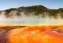 A glowing lake of lava emits steam which partially obscures a forest behind the steam.