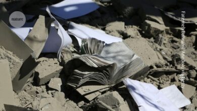 "مفجع": العلماء الإيرانيون يخسرون المختبرات والمكتبات والحرية