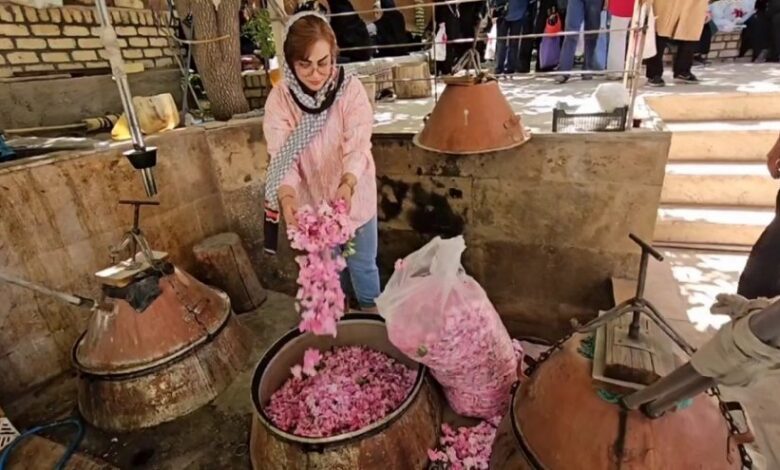 موسم استخراج ماء الورد في إيران.. تمسك بالتراث والطبيعة