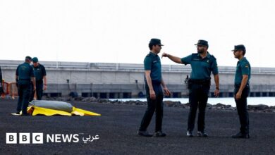"هانتا: مدير منظمة الصحة العالمية لسكان إحدى الجزر الإسبانية: هذا الفيروس "ليس كوفيد آخر