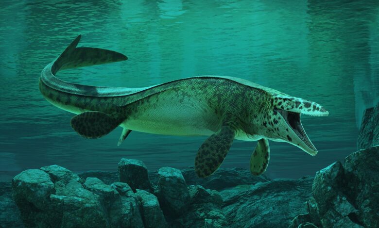 An illustration of a large, underwater reptile, its mouth open and facing the camera.