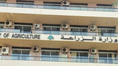وزارة الزراعة تدعو إلى استخدام المبيدات الزراعية المسجّلة حفاظاً على السلامة العامة والإنتاج الزراعي - Shafaqna Lebanon