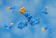 يكشف المحققون العلميون عن أكثر من 100 صورة مشبوهة في كتالوج الأجسام المضادة لـ Thermo Fisher