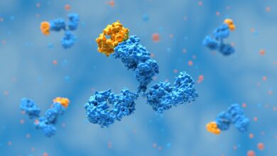 يكشف المحققون العلميون عن أكثر من 100 صورة مشبوهة في كتالوج الأجسام المضادة لـ Thermo Fisher