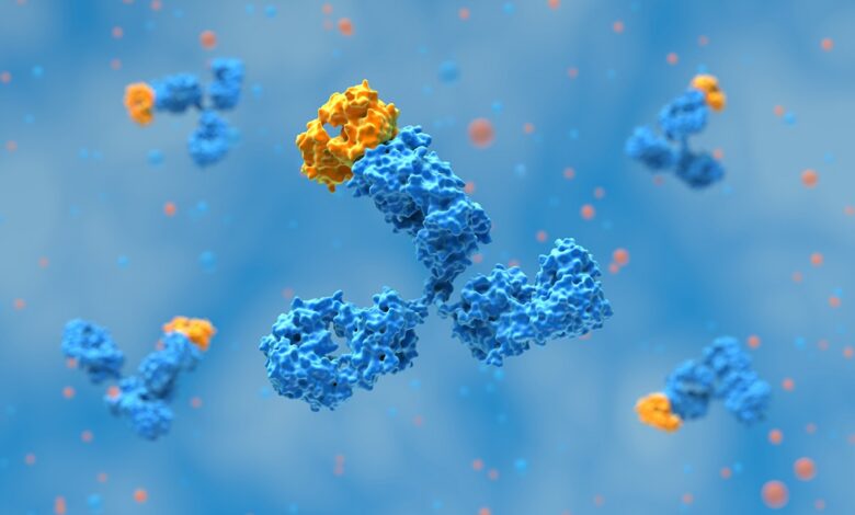 يكشف المحققون العلميون عن أكثر من 100 صورة مشبوهة في كتالوج الأجسام المضادة لـ Thermo Fisher