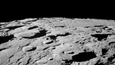An image of the moon's cratered surface.