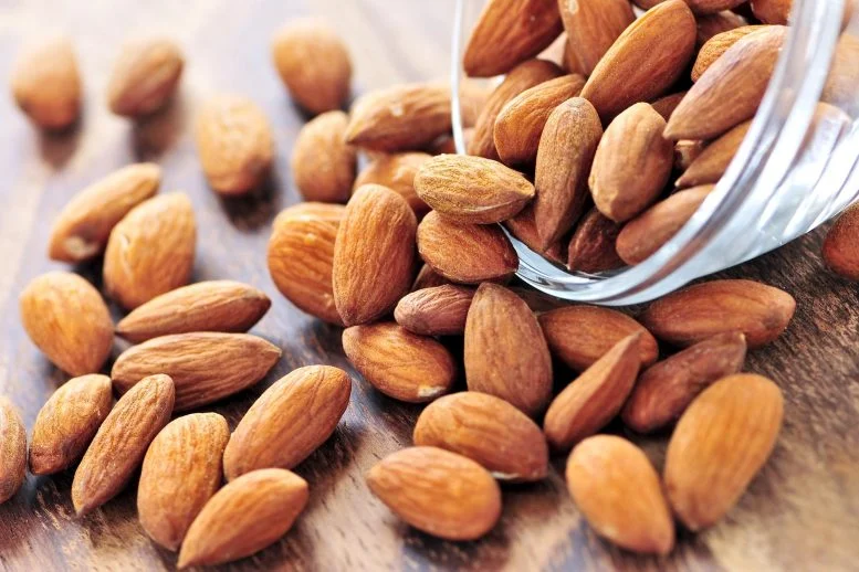 البروتين الحيواني مقابل البروتين النباتي  وجد العلماء اختلافًا غذائيًا مفاجئًا
