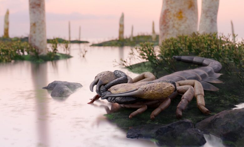 A reconstruction of a brown and black scorpion on the edge of a river bank.