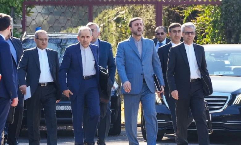 اعضاء الوفد الايراني