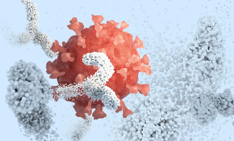 Antibodies Surrounding Inactivating Coronavirus