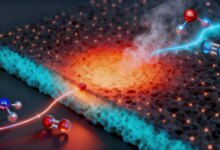Platinum Catalyst Lights Ammonia