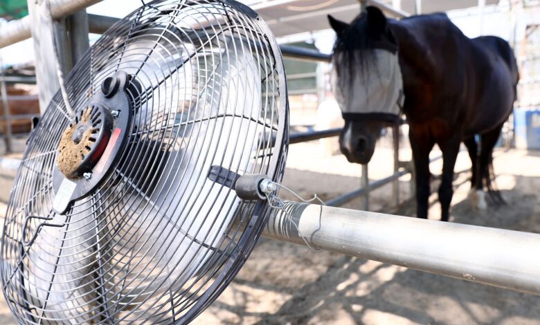 A close up of a circular metal fan tied to a fence post with a horse wearing eye blinders in the background.