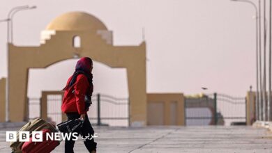 عاجل | اليوم العالمي للاجئين: لائحة قانون اللجوء الجديد في مصر تدخل مرحلة التنفيذ، ماذا سيتغير؟