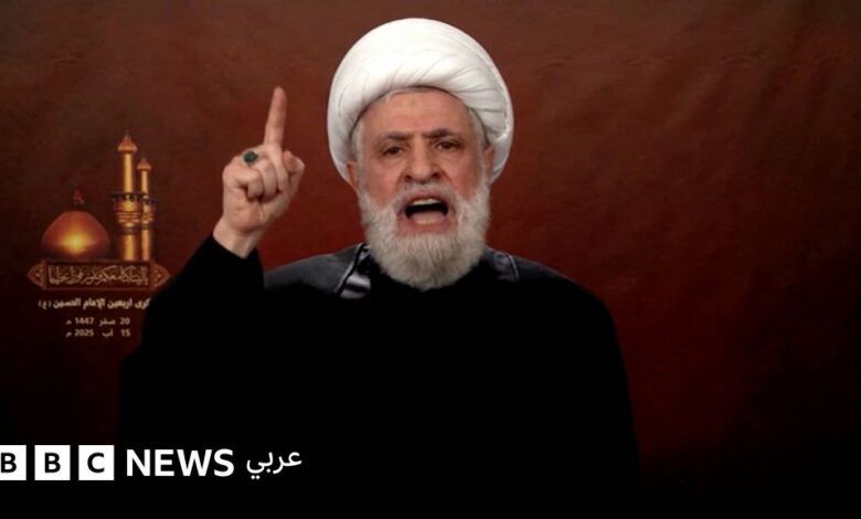 عاجل | حزب الله يرفض اتفاق وقف إطلاق النار بين إسرائيل ولبنان ويصفه بأنه “استسلام وهزيمة”