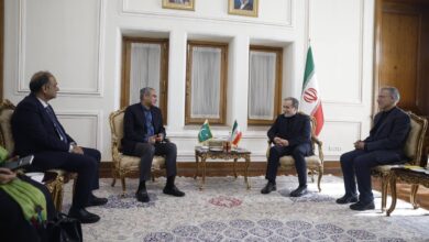 عراقجي یستقبل وزیر الداخلیة الباکستاني