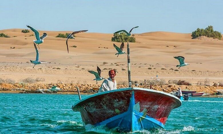 قرية