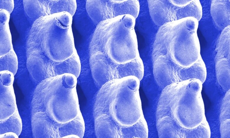 وجد المهندسون طريقة عبقرية لخفض استخدام الطاقة في مراكز البيانات: ScienceAlert