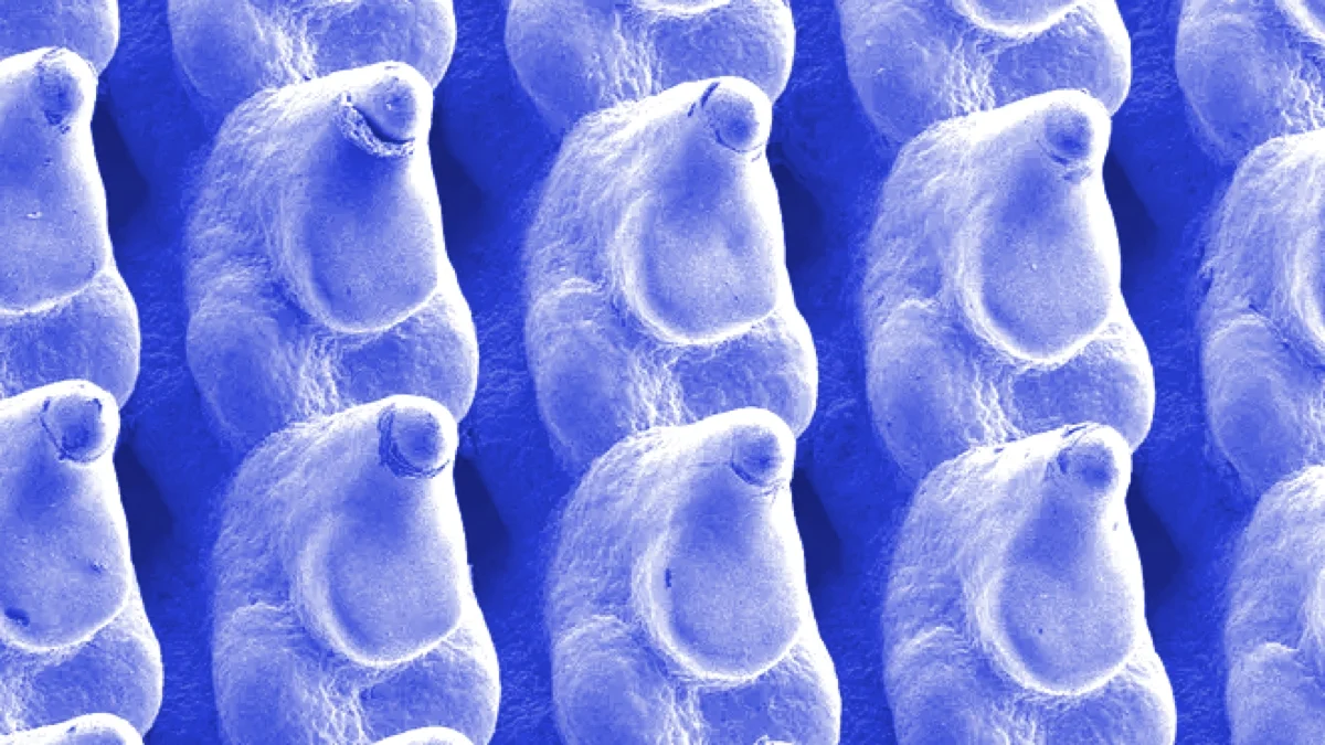 عاجل | وجد المهندسون طريقة عبقرية لخفض استخدام الطاقة في مراكز البيانات: ScienceAlert - صورة مميزة صورة مميزة: عاجل | وجد المهندسون طريقة عبقرية لخفض استخدام الطاقة في مراكز البيانات: ScienceAlert