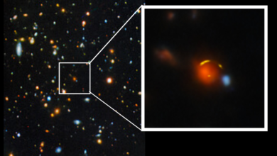 Lots of stars and galaxies speckled across a dark background. One of the galaxies is enlarged in a boxout.
