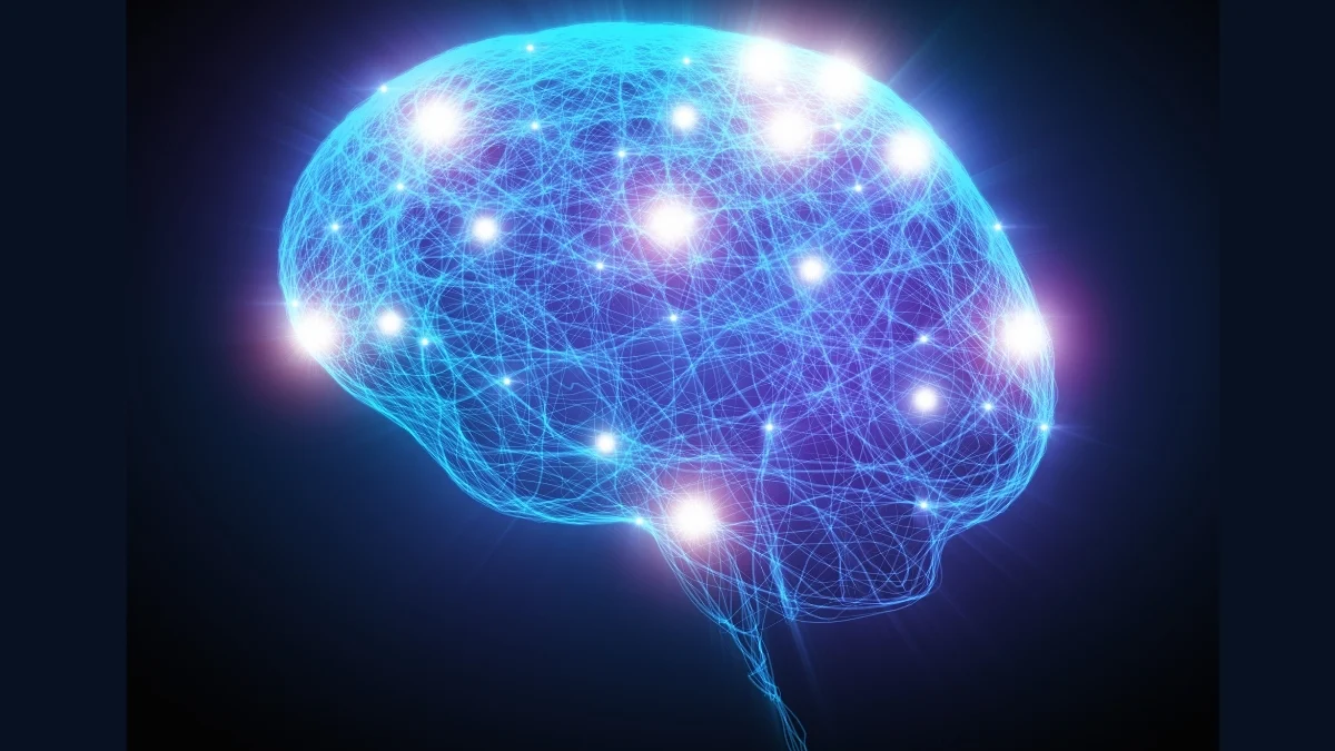 عاجل | يقول الباحثون إن الوعي يمكن أن يوجد في أجساد لا تشبه أجسامنا: ScienceAlert - صورة مميزة صورة مميزة: عاجل | يقول الباحثون إن الوعي يمكن أن يوجد في أجساد لا تشبه أجسامنا: ScienceAlert