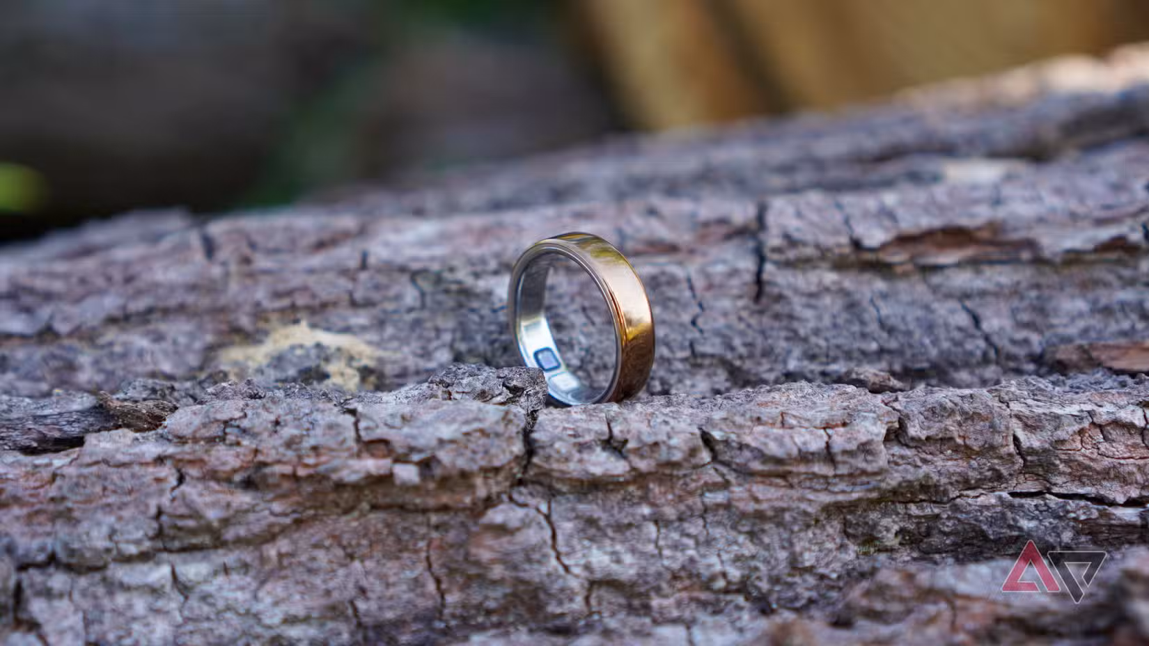 لقد ارتديت خاتم Oura لمدة 5 سنوات  يعد Oura Ring