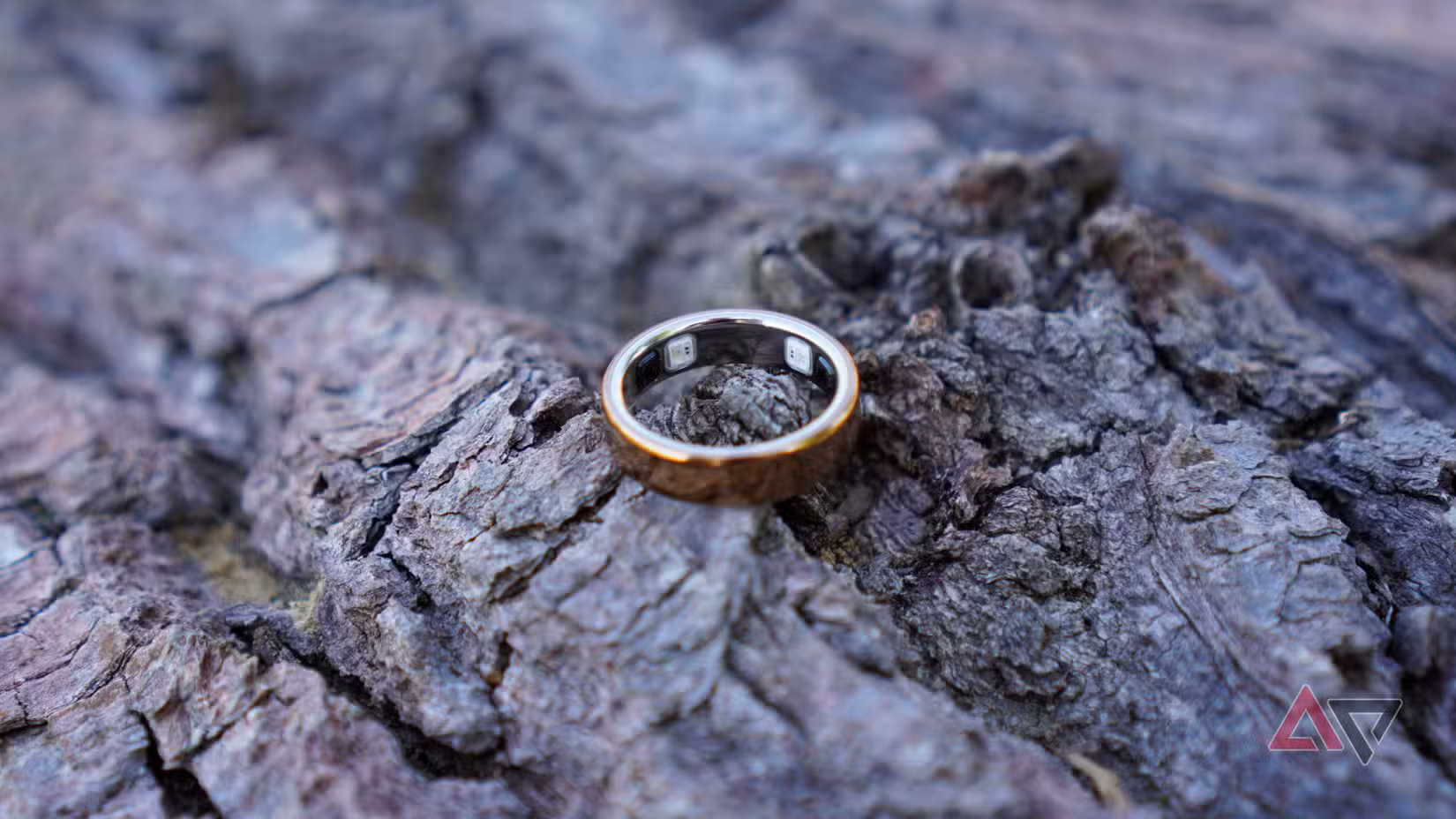 لقد ارتديت خاتم Oura لمدة 5 سنوات  يعد Oura Ring