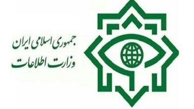 تفكيك أربع خلايا عملياتية تابعة لجماعة إرهابية تكفيرية في جنوب شرقي إيران