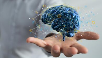 Hand Holding Digital Human Brain Idea