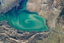 A satellite photo of a lake with a massive green swirl on its sruface