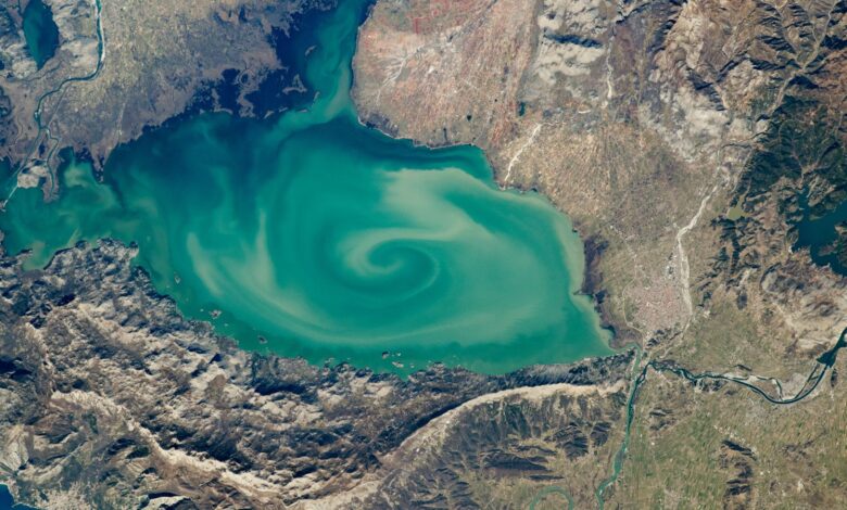 A satellite photo of a lake with a massive green swirl on its sruface