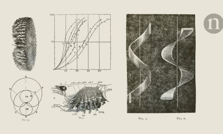 عاجل | أثار جهاز التلفاز المبكر إعجاب محرري مجلة Nature، لكن هل سيحظى بشعبية كبيرة؟