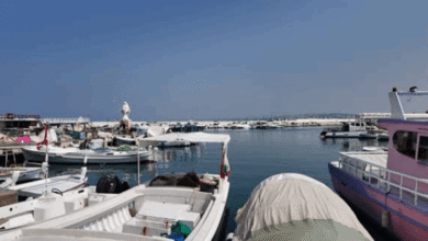 عاجل | صيادو لبنان: مجمعون على رفض قانون الصيد المائي وتربية الأحياء المائية