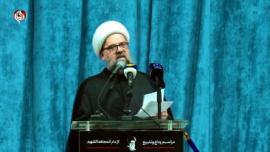 عاجل | قبلان: ما تقوم به السلطة يضع لبنان فوق أخطر فوالق الفتنة!